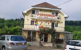 Pensiunea Vidra